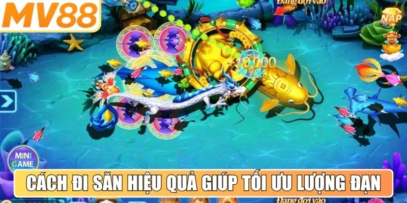 Cách thức đi săn hiệu quả giúp tối ưu hóa lượng đạn sử dụng