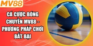 Cá cược bóng chuyền