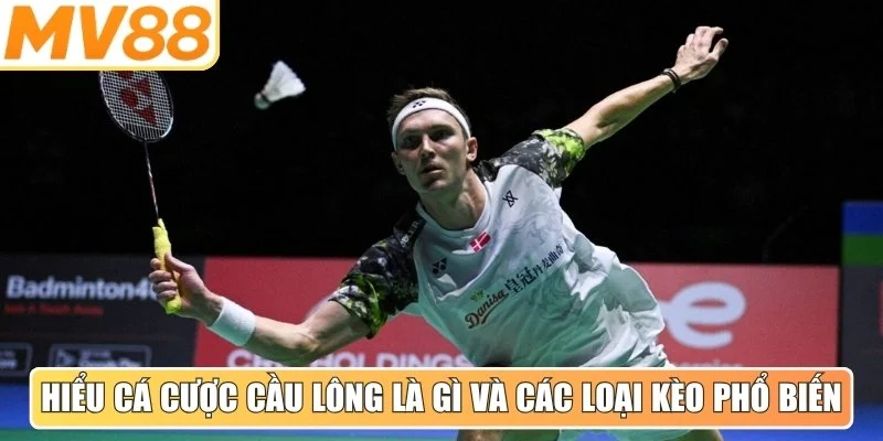 Hiểu trọn vẹn cá cược cầu lông là gì và các loại kèo phổ biến cho game thủ