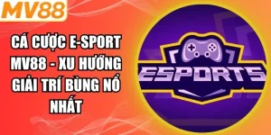 Cá cược E-Sport
