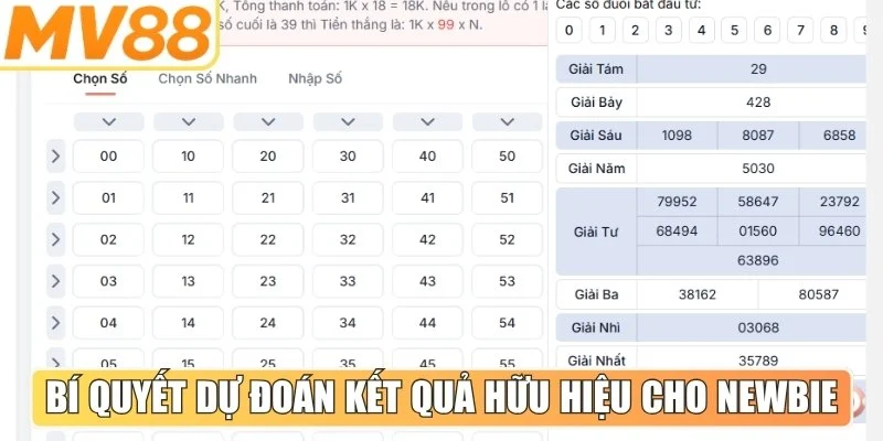 Một số bí quyết dự đoán kết quả hữu hiệu cho newbie
